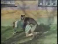 Dog fucking a slut in force beastiality sex